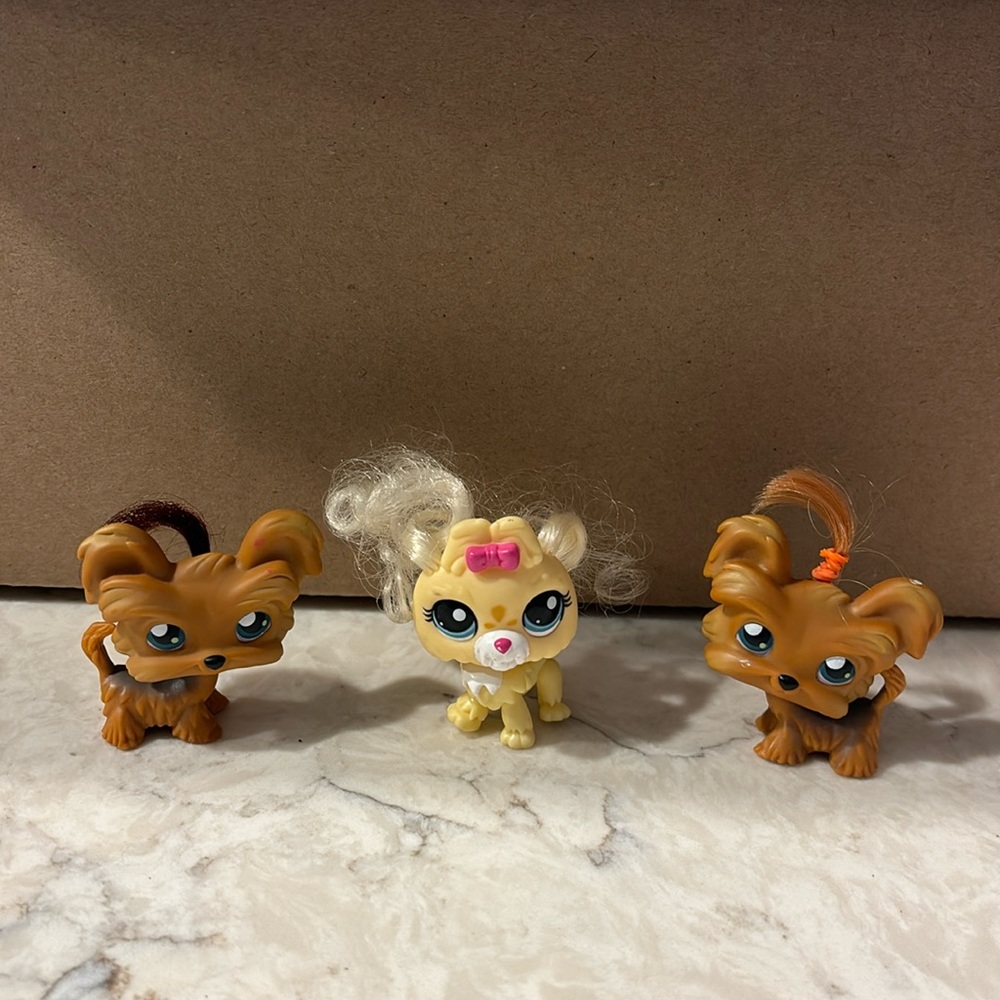 LPS hairy dogs